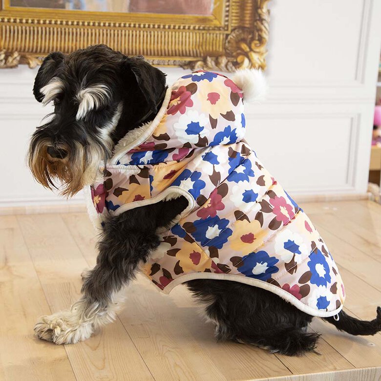Outech Spring Abrigo para perros, , large image number null